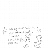 Review image 2